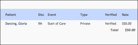 home health therapy software